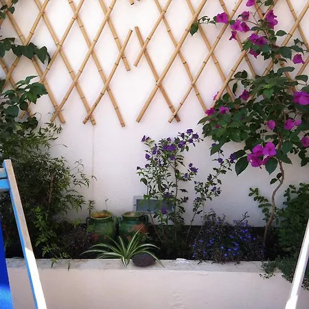 Casa Grace Holiday home